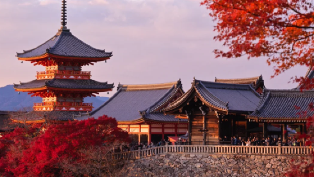Excursion d'une journée aux cerfs du Parc de Nara dans le Kansai + Fushimi Inari-taisha + temples anciens de Kyoto au Japon