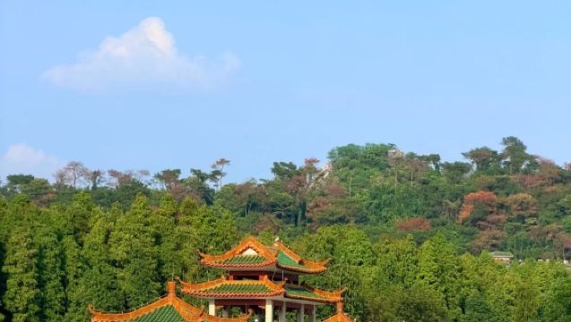 Guangzhou 1-Day Tour: Dinghu Mountain+Liqiaolou+ Piyun Ancient Building