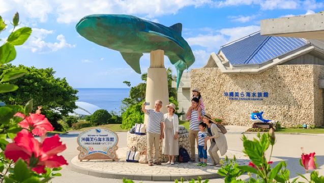 1-day tour to Okinawa north - Churaumi Aquarium, Cape Manzamo, Kouri Island and American Village