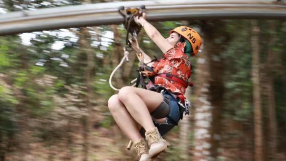 Chiang Mai Jungle Flight Junglelys | Atomrutschebane | Jungleflyvning
