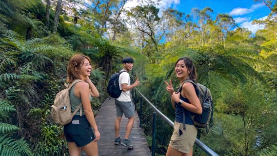 Excursion d'une journée dans les deux vallées des Montagnes Bleues : Leura + Les Trois Sœurs + Plate-forme d'observation de Wentworth Falls