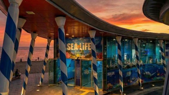 SEA LIFE 부산 아쿠아리움: 비수기 입장권 + 사진 촬영