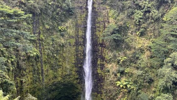 Hawaii Pulau Besar Hilo Air Terjun Hutan Hujan + Taman Tropika Pantai Timur - Sewaan Peribadi Bahasa Cina - Pilihan Terbaik