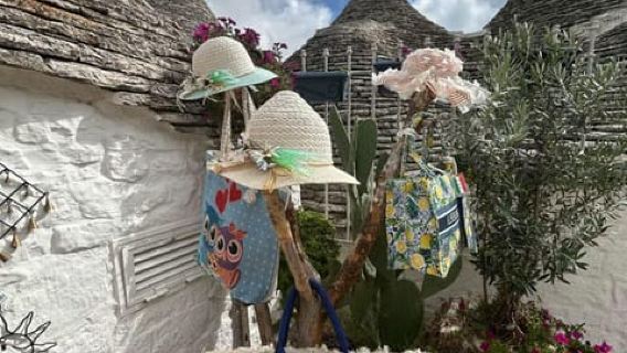 Tour Alberobello, Locorotondo & Ostuni: Local Guide & Lunch