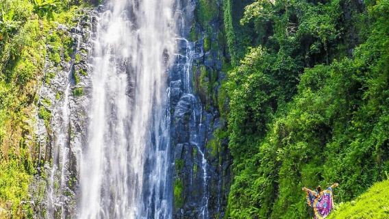 Materuni Waterfalls & Coffe Tour