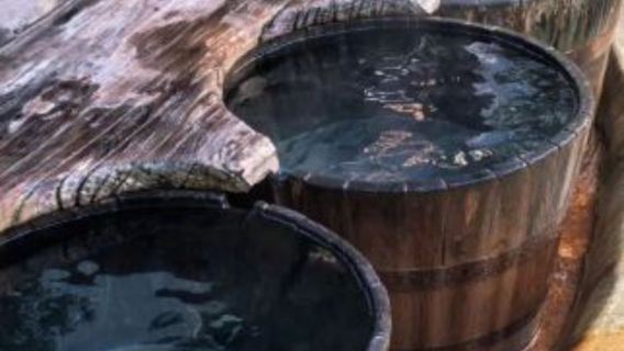 Lawatan sehari Mornington Peninsula Melbourne Rainbow Cottage + Hot Springs Geothermal Peninsula Pandu pelancong berbahasa Cina
