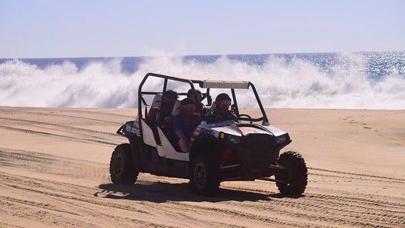 Cabo San LucasExperiences