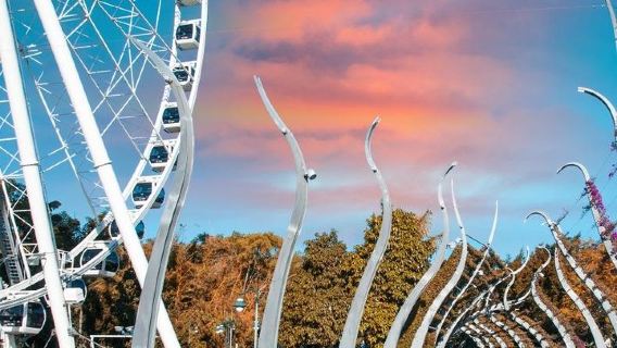 BrisbaneTours