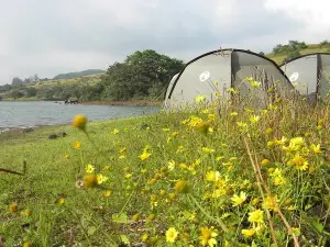 Lakeside camping near Pavna Lake 