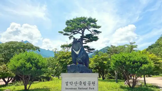 韓國秋季楓葉之旅【韓國雪嶽山國家公園】