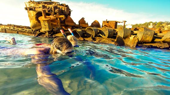 Chuyến du thuyền ngắm ngày Tangalooma và lặn ngắm xác tàu đắm