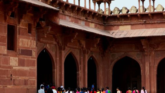 阿格拉出發的珀勒德布爾鳥類保護區與法塔赫布爾西格里導覽日遊。