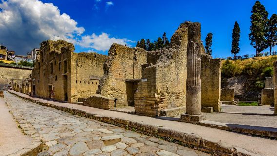 Herculaneum small group tour and skip the line tickets