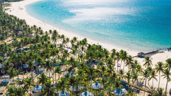 El Nido Airport Airport Transfers in Palawan + Town/Lio Beach/Vanilla Beach/Nacpan Beach Chartered Vehicle Service