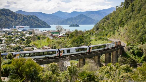 New Zealand North Island Scenic Train VIP Combo Ticket: Auckland - Hamilton - Wellington (Round-trip Scenic Train between Auckland and Wellington)