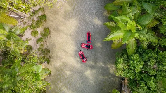 Mossman Gorge Cultural Centre + Daintree Rainforest + Daintree River Cruise Centre 3-hour kayaking [Cairns Daintree Rainforest Mossman Gorge Cultural Centre 2-hour inflatable kayak rafting]