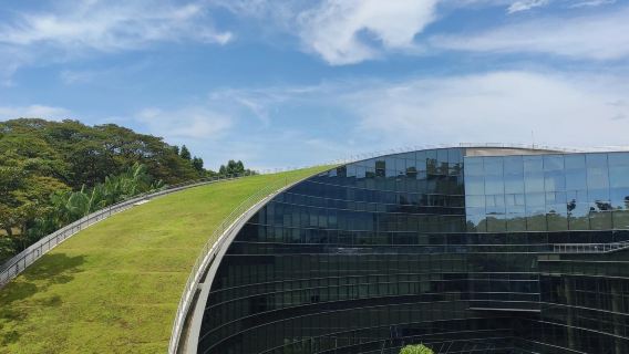 ทัวร์วันเดียว/ทัวร์หลายวัน มหาวิทยาลัยแห่งชาติสิงคโปร์ พิพิธภัณฑ์แห่งชาติ และ Night Safari (มีให้บริการภาษาอังกฤษและภาษาจีน)