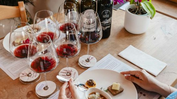 Corte Pavone Winery Estate: Montalcino Wine Tasting + Gourmet Bites