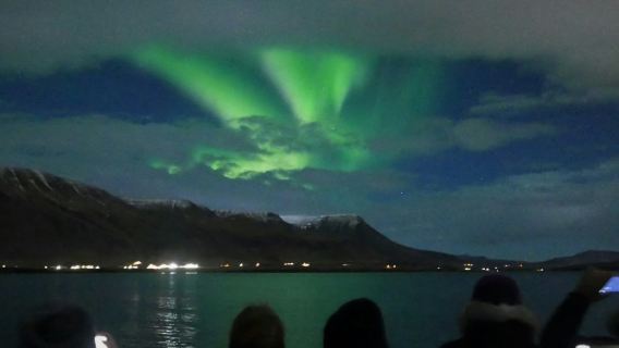 แสงเหนือ: ทัวร์เรือ 2.5 ชั่วโมง