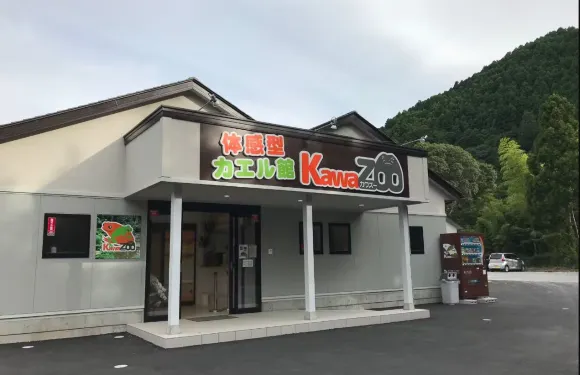 KawaZoo，一個互動式青蛙博物館成人