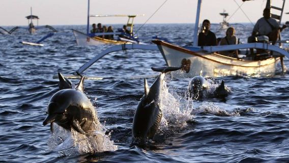 半日ツアー【ボホール島でイルカウォッチング+バリカサグ島でシュノーケリング+釣り】