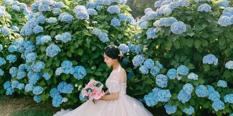 宜春旅拍【商業攝影攝像/婚紗寫真婚禮跟拍航拍街拍抓拍約拍/多語種翻譯】