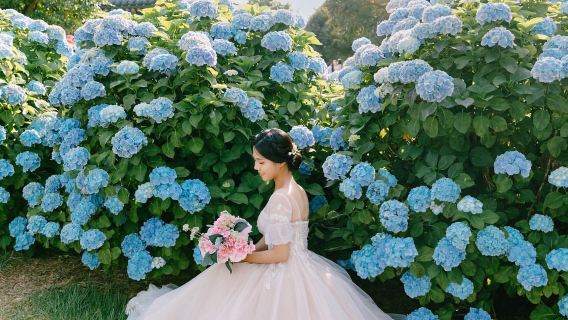 PingxiangTravel Photography