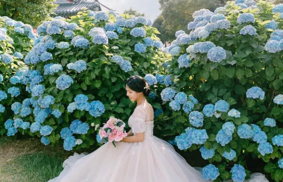 宜春旅拍【商業攝影攝像/婚紗寫真婚禮跟拍航拍街拍抓拍約拍/多語種翻譯】