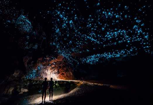 Gold Coast Glow Worm Night Tour [Optional Tamborine/Springbrook National Park with Transfers] AUD 112.39