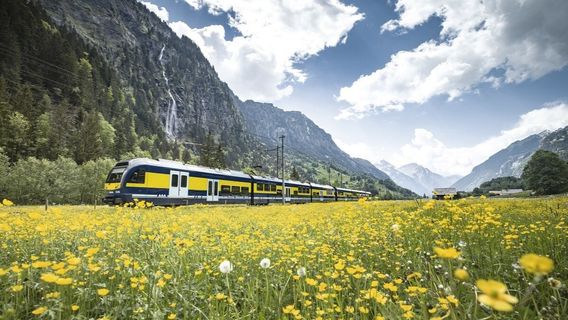 GrindelwaldTours