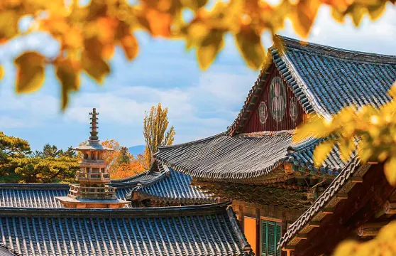 釜山出發慶州一日遊7大特色，包括大王岩吊橋