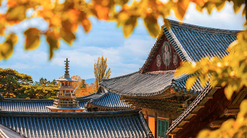 釜山出發慶州 7 大亮點 1 日城市遊,包含大王岩天空步道