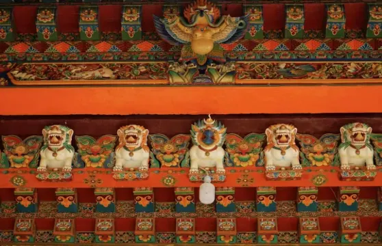 西藏拉薩翻譯/導遊/地陪 　  人工講解  |歡迎查詢