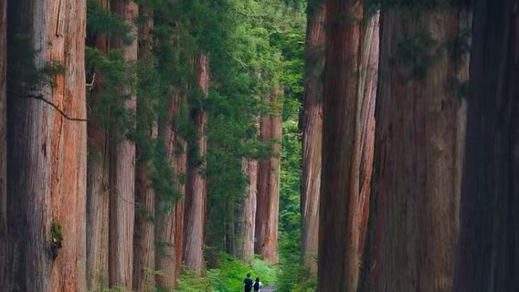 輕井澤町日遊