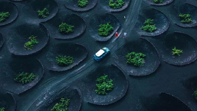 Klassieke eendaagse tour rond Isla de Lanzarote: Nationaal Park Timanfaya, grotten en uitkijkpunten inbegrepen