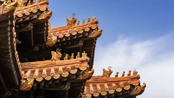 Forbidden City Tour With Entry Tickets