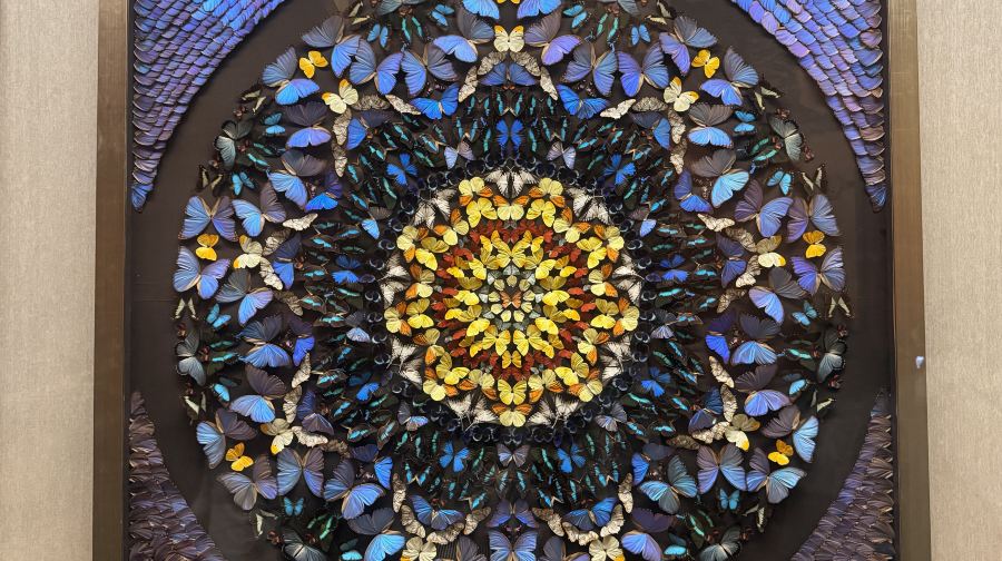 上海自然博物館+上海博物館東館1日遊 生命史詩+文明摺疊