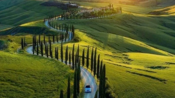 佛羅倫斯出發：錫耶納老城+奧爾恰穀+皮恩扎一日遊