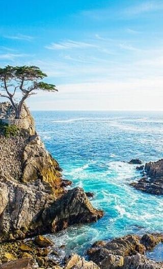 蒙特雷半島及卡梅爾精華小旅行團