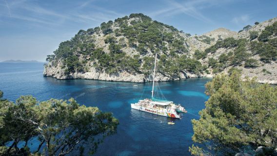 Mallorca Catamaran Cruise with Lunch/Dinner + Snorkeling