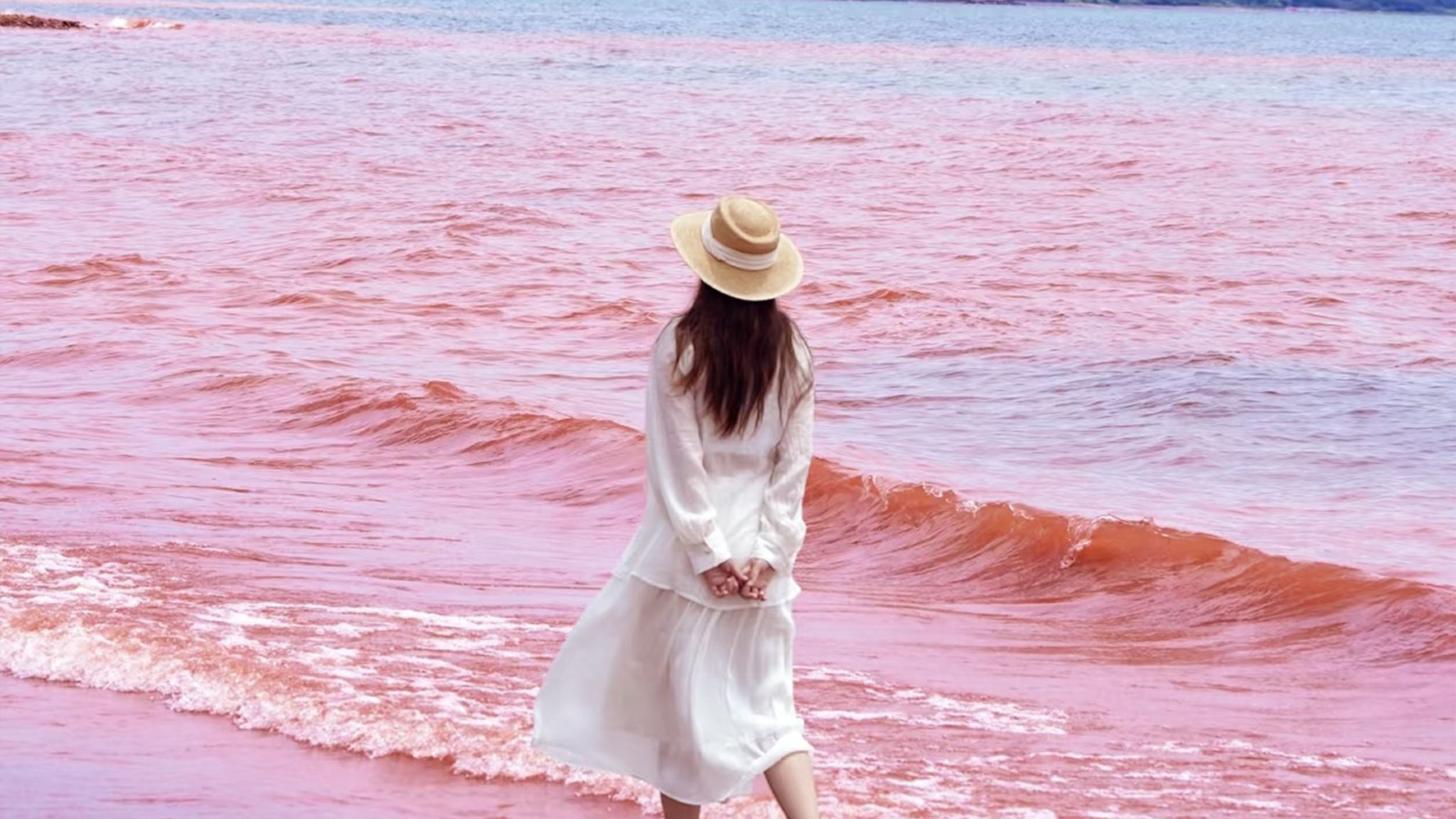 雲南撫仙湖+祿充風景區+澄江廣龍撫海灣一日遊【純玩不進店】