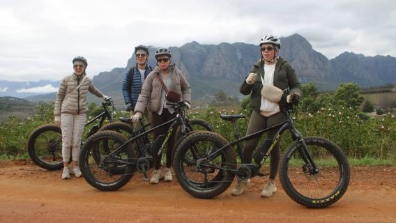 Stellenbosch: Countryside Banhoek valley E-Bike Wine Tour