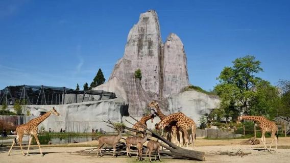 Paris: Tiket Masuk Taman Zoologi Paris