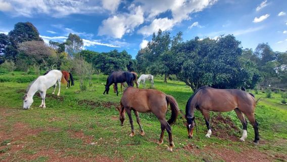 Kigali: Percorso a cavallo sul Monte Kigali