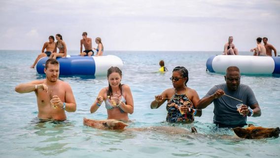 Nassau: Schwimmende Schweine des Rose Island Express-Wassertaxi