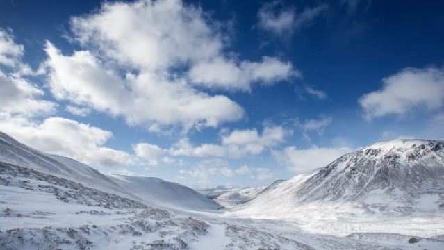 From Inverness: Cairngorms National Park and Whisky Tour