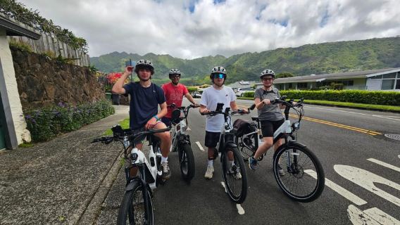 Oahu: Waikiki E-Bike-Tour und Wanderung zu den Manoa Falls