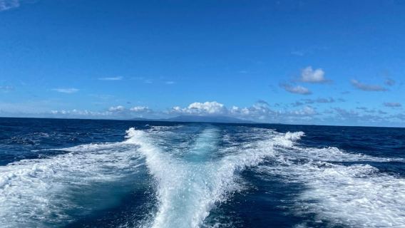 從法哈多出發：伊卡科斯島乘船遊覽和海灘一日遊套餐