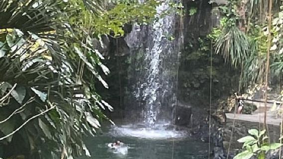 Grand Tours Grenada Gọi cho ông chủ Taxi Tour đảo sang trọng