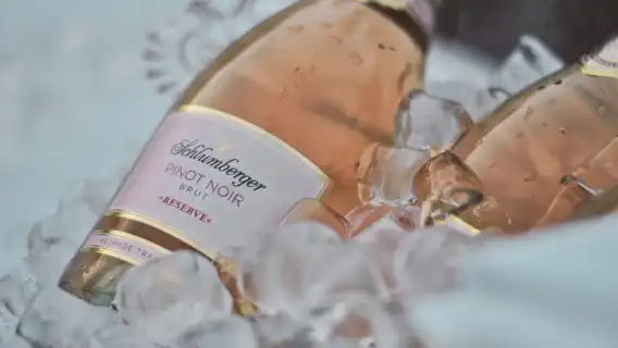 Vienna: Schlumberger Wine Cellar Guided or Self-Guided Tour